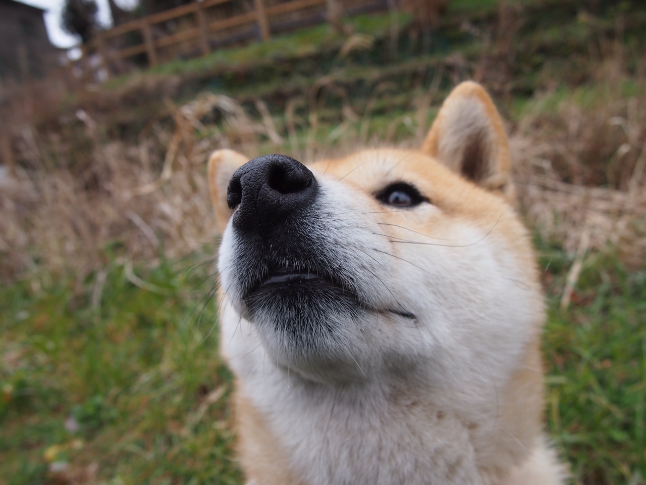 Black & White & Read All Over