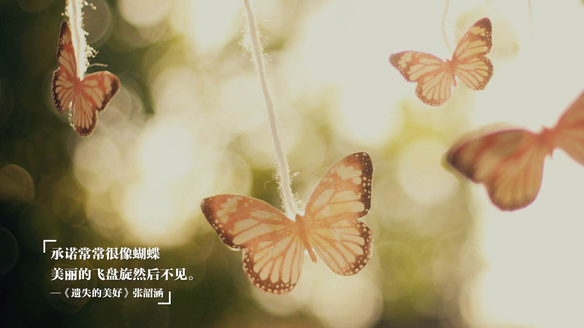 乐鱼电竞在线平台-多特蒙德后场防线稳固保障零封，多特蒙德站位