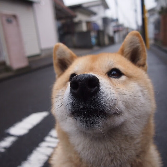 Leyu Sports (乐鱼体育)-青少年体育电影节展映十余部励志作品，青少年体育节目