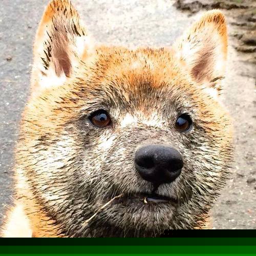 青训场地设施与资金投入不匹配,青训场地设施与资金投入不匹配的原因