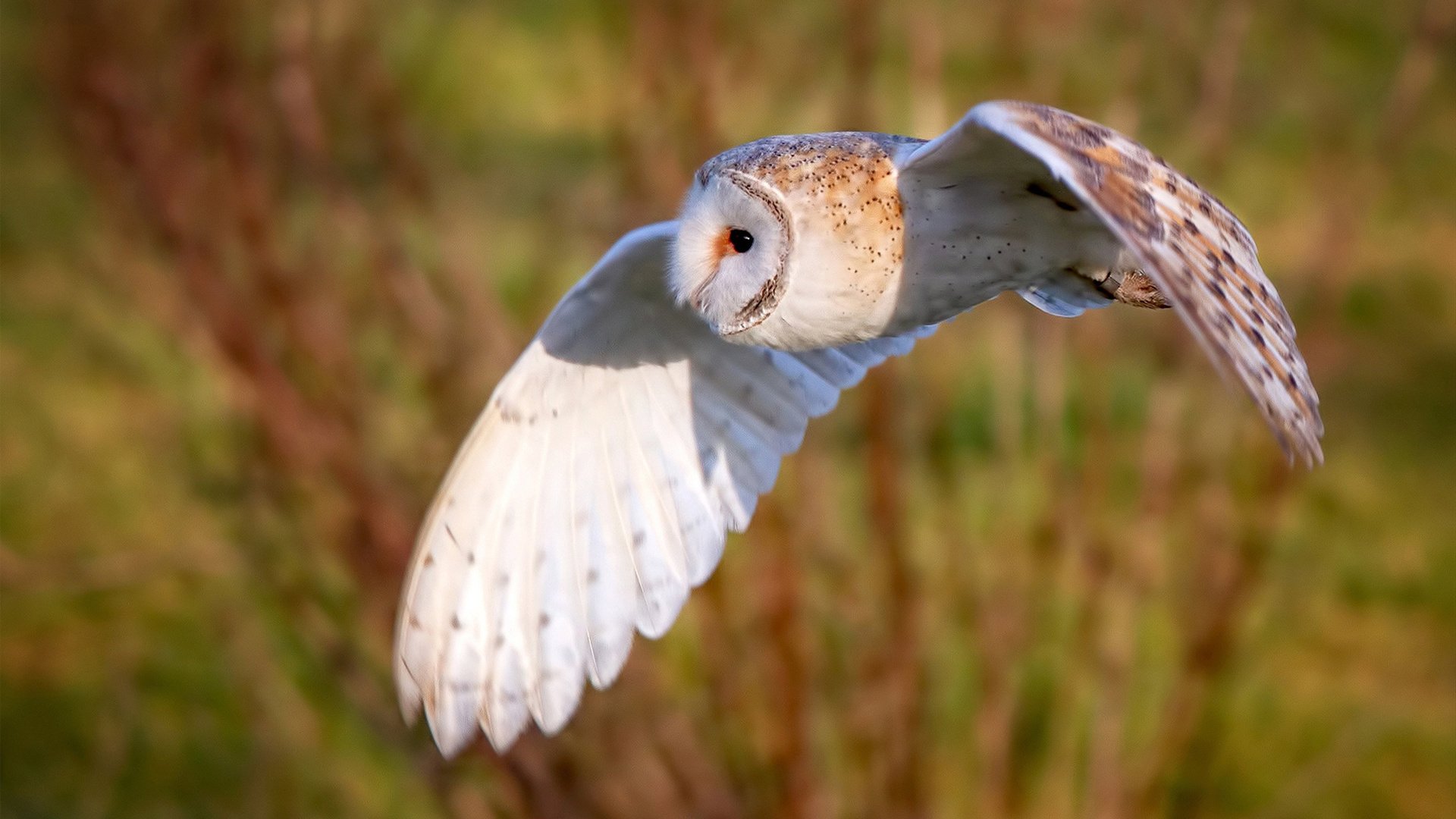 乐鱼官网-勇士召开赛前动员会议强调团队合作，勇士队揭幕战