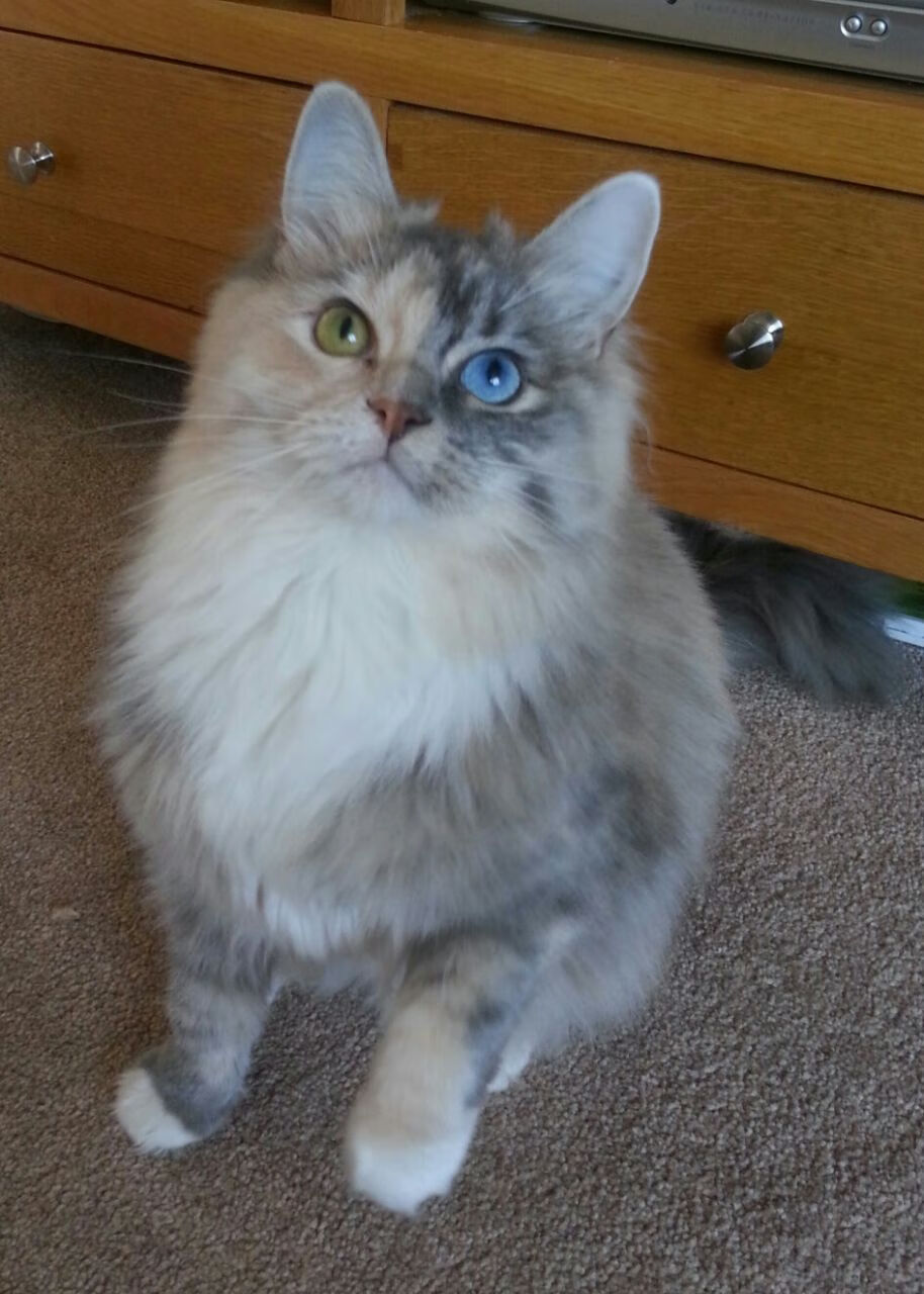 勇士召开赛前动员会议强调团队合作,勇士队揭幕战