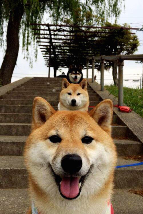 篮球训练营招生火爆,篮球训练营全年班的招生方案