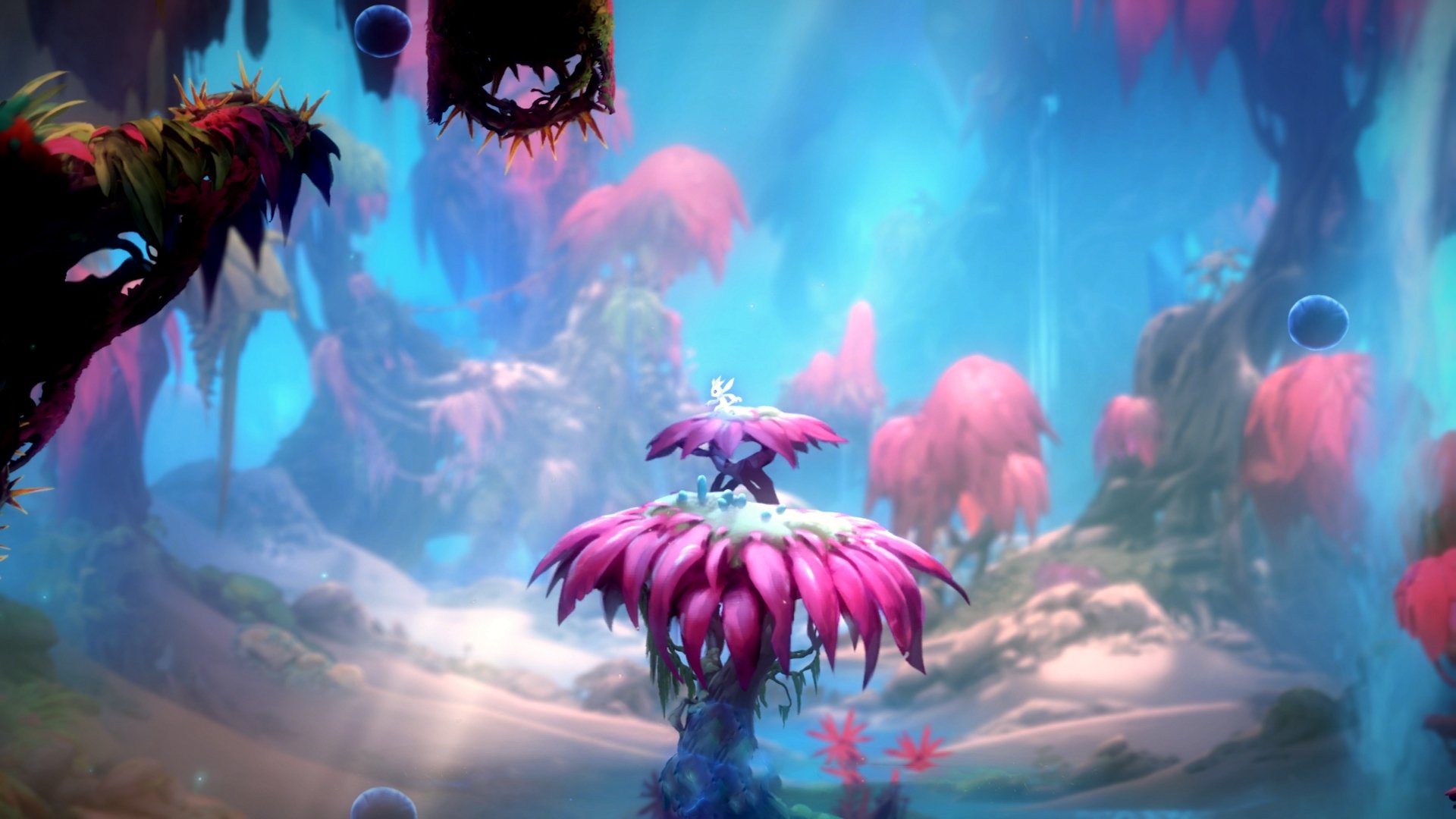 篮网老将接受节目采访回忆生涯高光瞬间,篮网老师