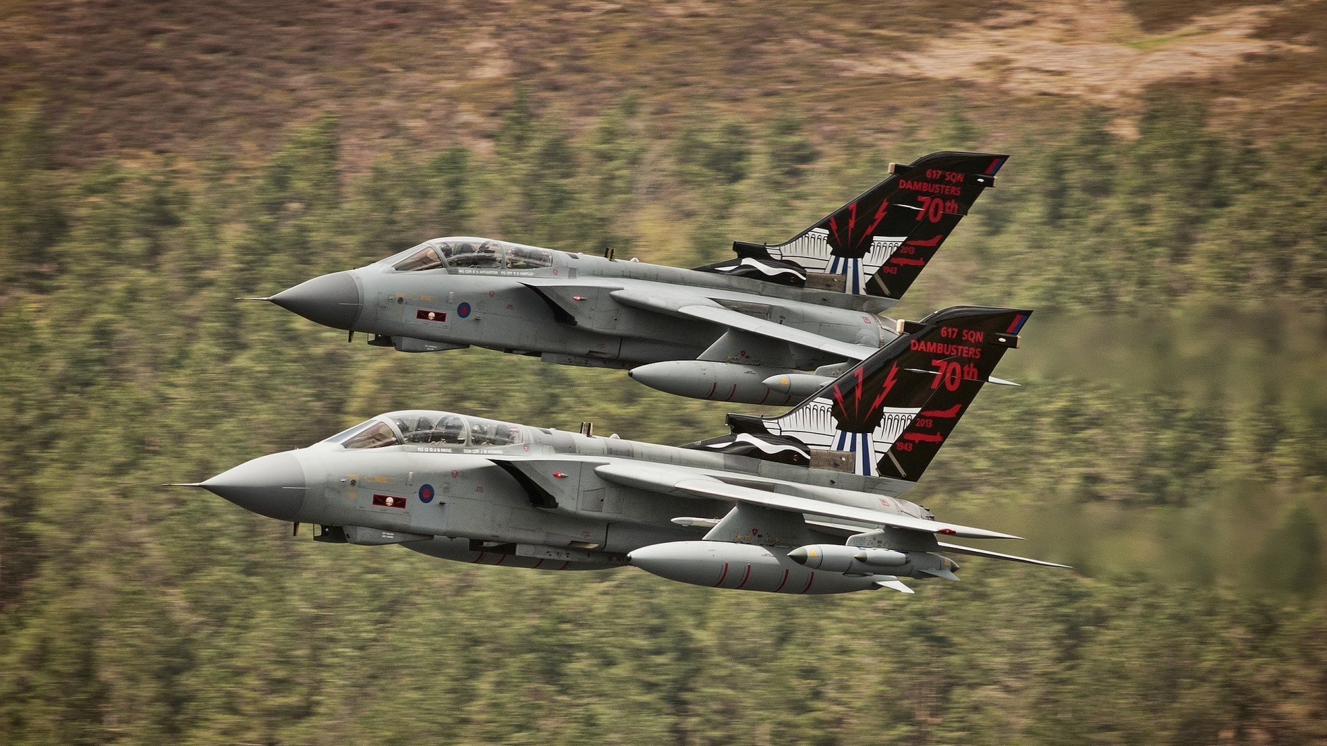 美洲杯明星大爆发:精彩表演,万人瞩目!,美洲杯原名