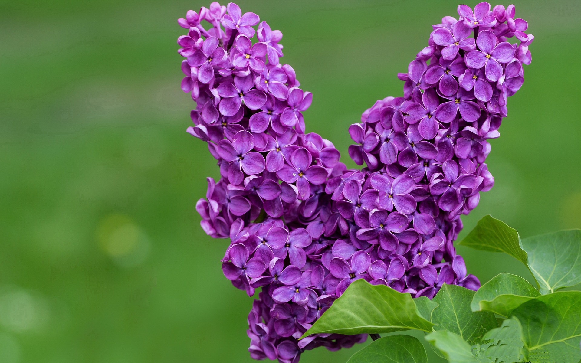 乐鱼体育登录-中国足球联赛频繁赛事后球员疲劳管理与恢复策略，足球运动员缓解疲劳