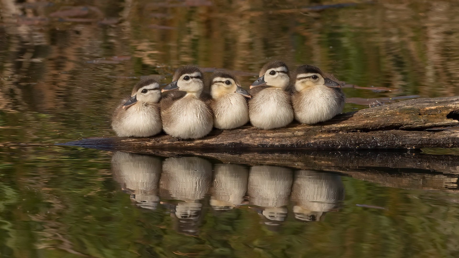 乐鱼体育平台app下载-中国足球集训基地建设作用与现状，中国足球队训练基地